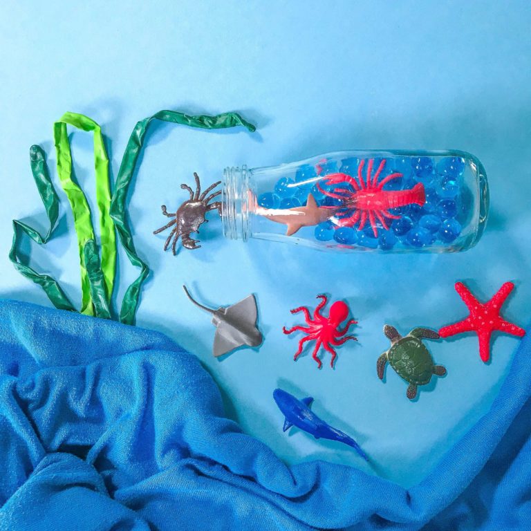 Baby Shark Workshop Aquarium